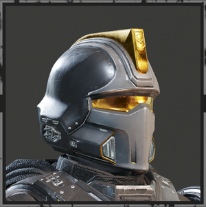 DP-40 Hero of the Federation Helmet Icon.png