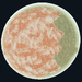 Charon Prime Planet Icon.png