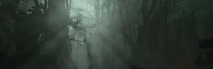 Haunted Swamp